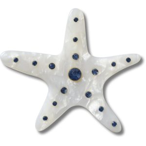 Silver Starfish